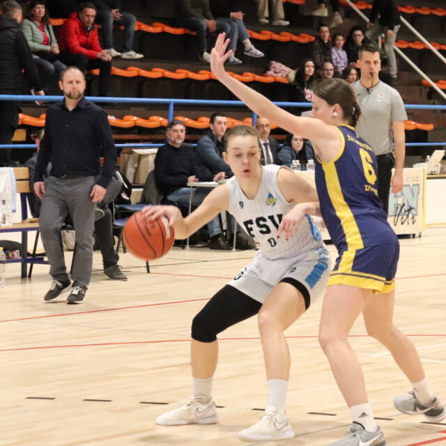 FSV_Medo_Dora Cipcic